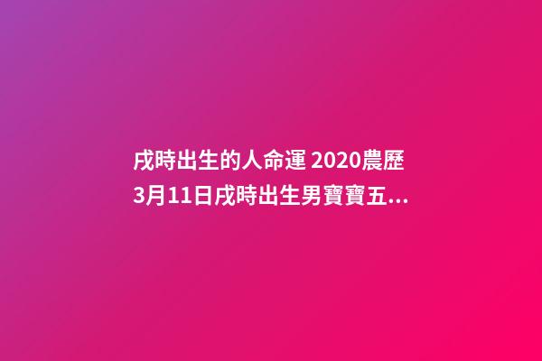 戌時出生的人命運 2020農歷3月11日戌時出生男寶寶五行八字是什么，八字還缺什么？（起名字作為參考）-第1張-觀點-玄機派